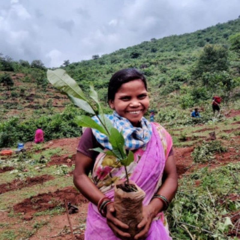 Labels for trees: through our partnership with B1G1 (Business for good), we plant a tree for every purchase