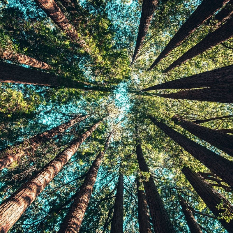 Sustainable labels: HERMA's sustainability strategy focusses on reducing global warming plus responsible use of resources. Find out more https://www.herma.com/company/profile/sustainability/